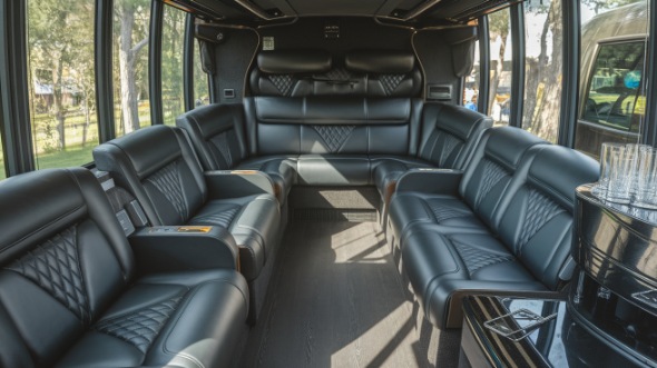 sprinter limo rental interior